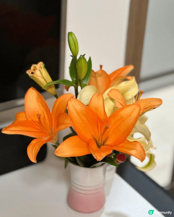 花開富貴，步步高陞