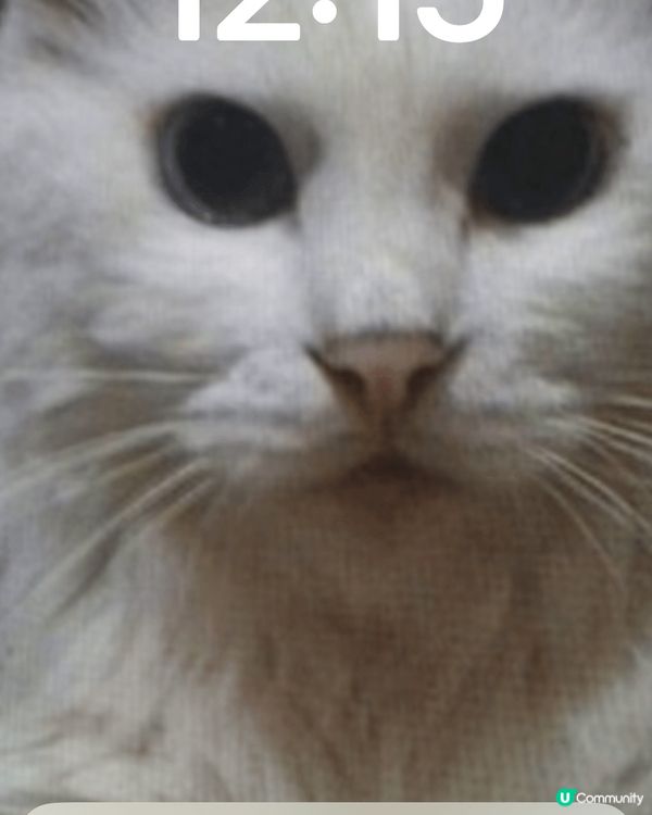 我喜愛大美食，什麼都旅行⋯等！