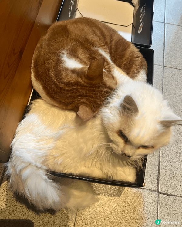 我喜愛大美食，什麼都旅行⋯等！