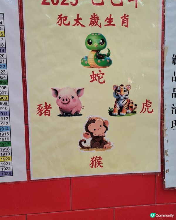 新春素食宴及攝太歲