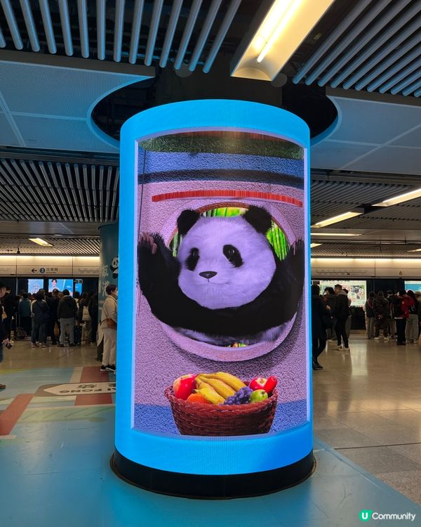 #好去處#全新景點#chill#打卡#港玩港食#生活足跡