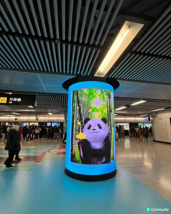 #好去處#全新景點#chill#打卡#港玩港食#生活足跡