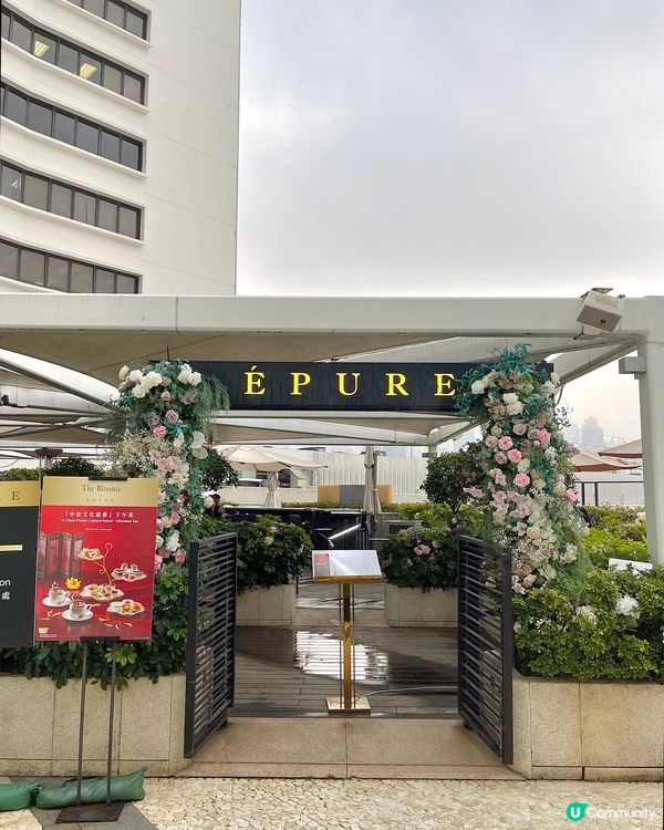 尖沙咀米芝蓮一星餐廳🌟花園中的打卡下午茶🌸