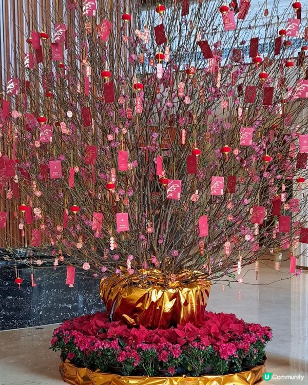 東莞海德滙一城