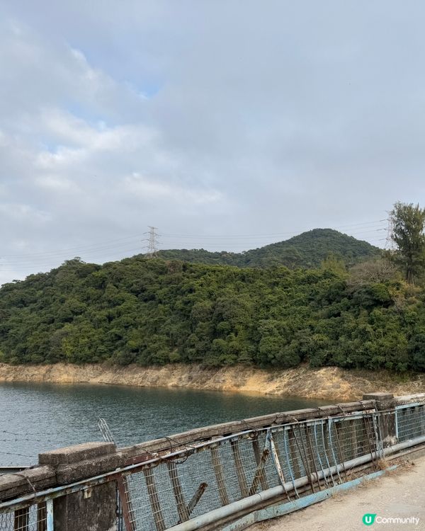 🧧《金山郊野公園》新春行大運🧧