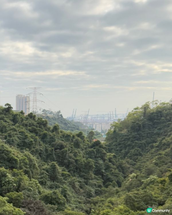 🧧《金山郊野公園》新春行大運🧧