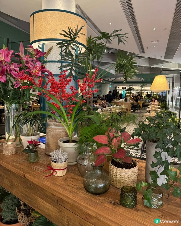 APM-情人節慶祝必選CP值高打卡餐廳