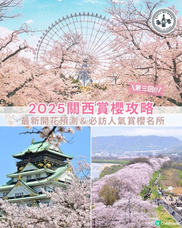 2025關西賞櫻攻略!🌸 最新開花預測&必訪人氣賞櫻名所!