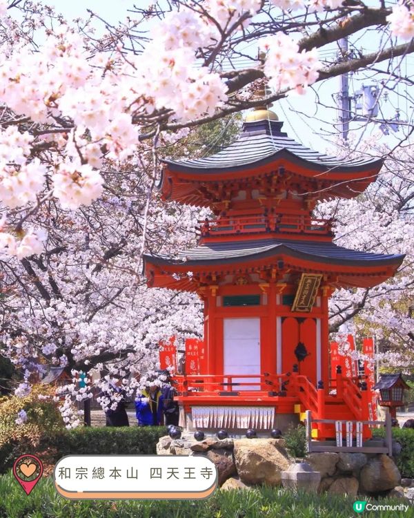 2025關西賞櫻攻略!🌸 最新開花預測&必訪人氣賞櫻名所!