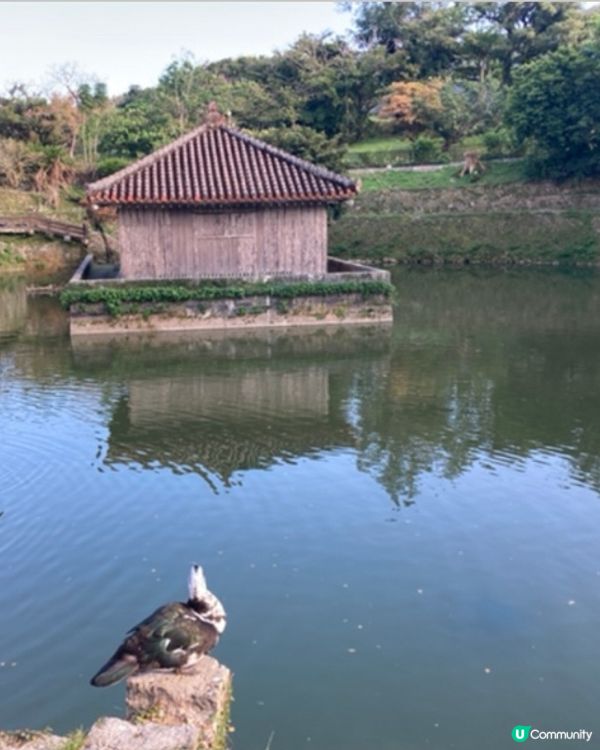 蜘蛛俠背包🎒，可愛到爆！🤩