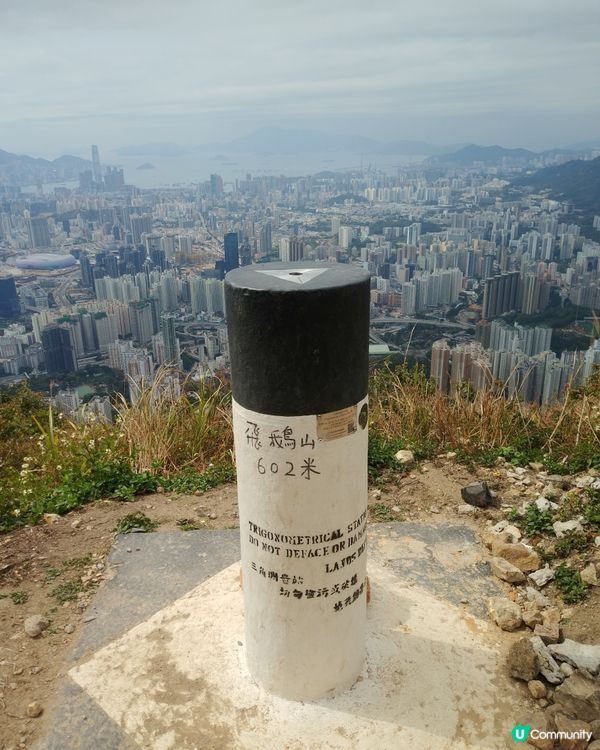 在山頂望維港好靚