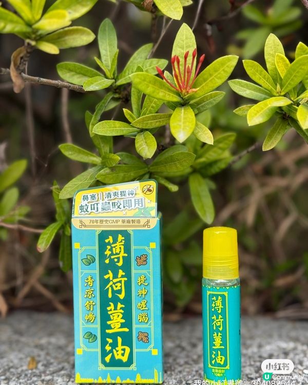蚊蟲叮咬唔怕啦 🦟  古丹薄荷薑油幫你搞掂 💪
