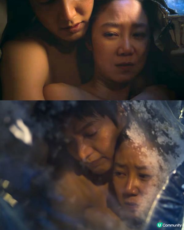 問問星星吧結局返回地球繼續戀愛！劇情5大負評遭狠批硬塞床戲