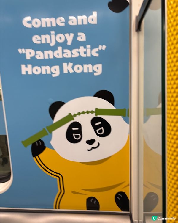 快d到充滿熊貓嘅香港打卡啦!今次同大家分蛋撻新貴自費試食食評...