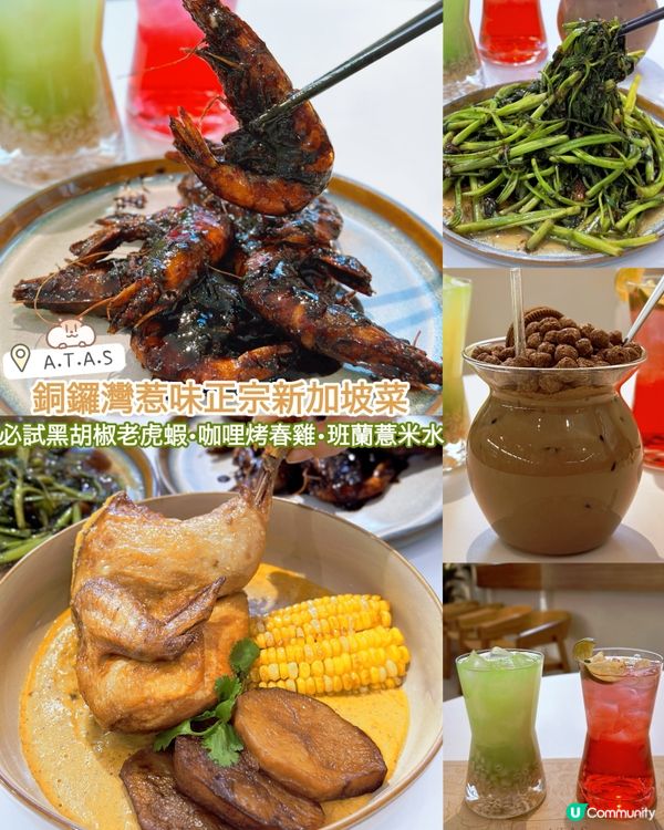 銅鑼灣惹味正宗新加坡菜