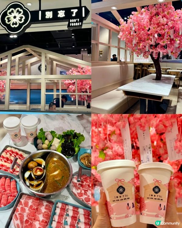 香港必吃火鍋店🍲😋😋