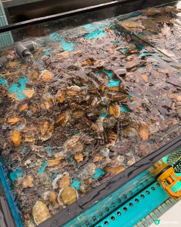 超人氣即撈即煮海鮮放題🔥千海水產🦐