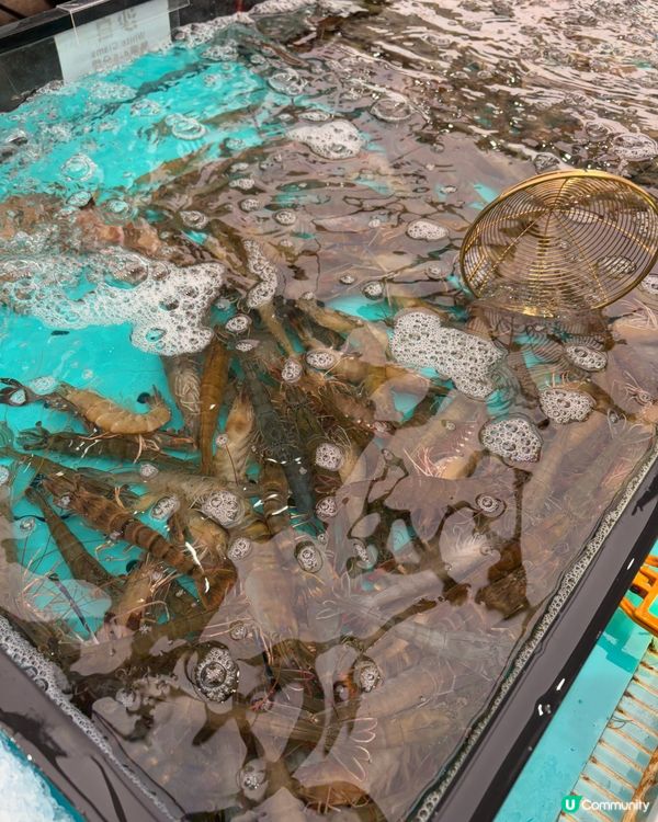 超人氣即撈即煮海鮮放題🔥千海水產🦐