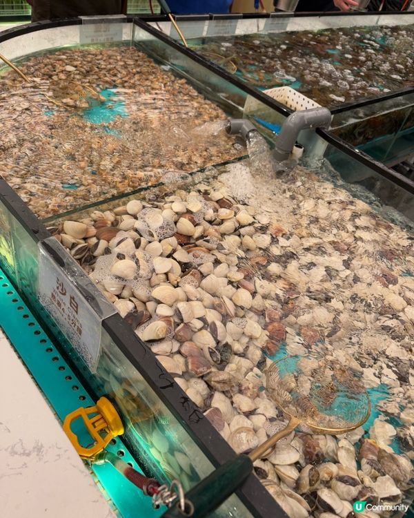 超人氣即撈即煮海鮮放題🔥千海水產🦐