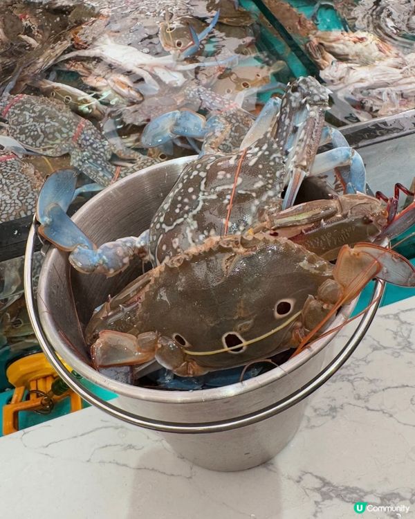 超人氣即撈即煮海鮮放題🔥千海水產🦐