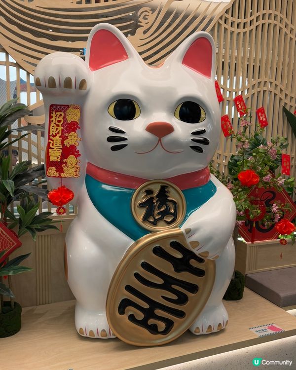 超人氣即撈即煮海鮮放題🔥千海水產🦐