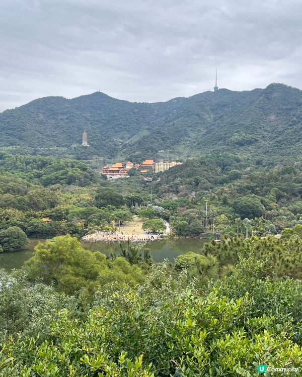 深圳仙湖🌵 植物園探險記！