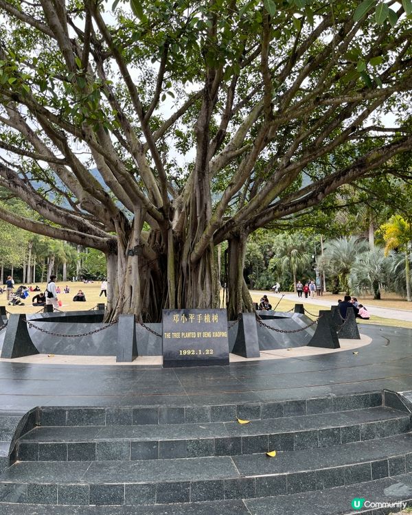 深圳仙湖🌵 植物園探險記！