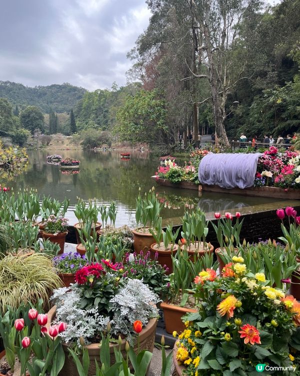 深圳仙湖🌵 植物園探險記！