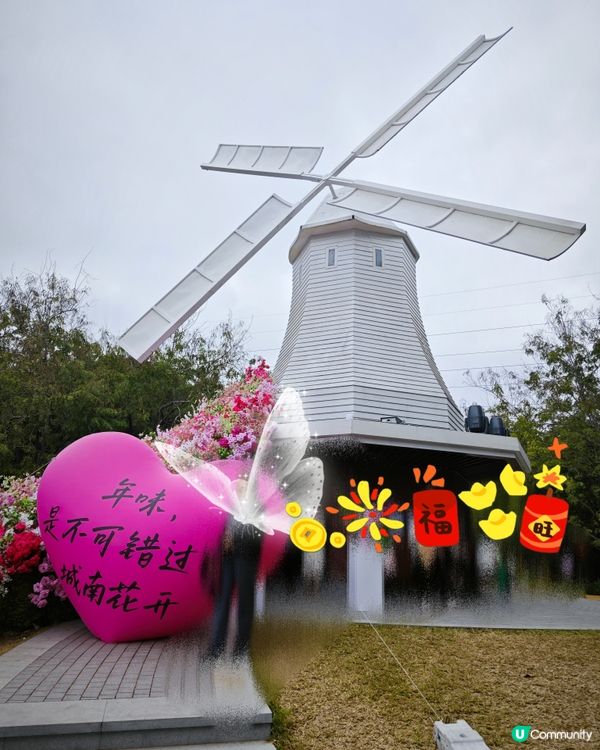 荷蘭花卉小鎮✨白色的風車︱超美花海🌷🌹︱歐式風格