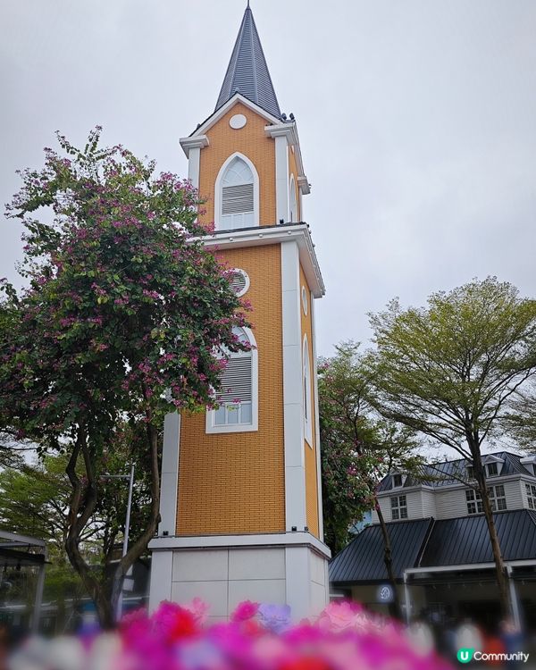 荷蘭花卉小鎮✨白色的風車︱超美花海🌷🌹︱歐式風格