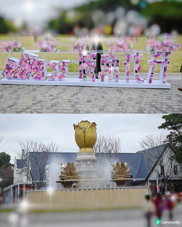 荷蘭花卉小鎮✨白色的風車︱超美花海🌷🌹︱歐式風格