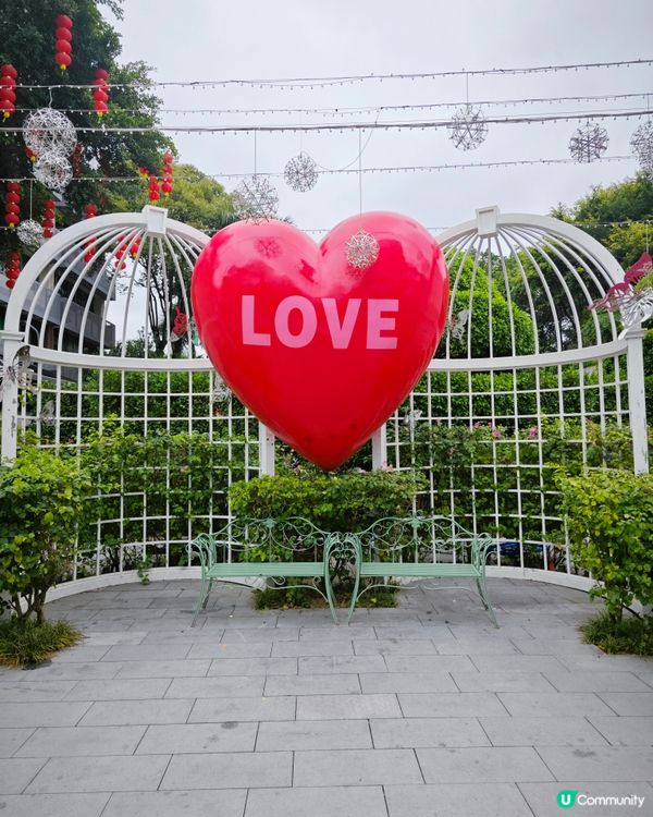 荷蘭花卉小鎮✨白色的風車︱超美花海🌷🌹︱歐式風格