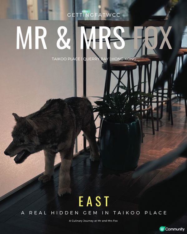 🇭🇰| 鰂魚涌 - 寧靜街角的美食秘境