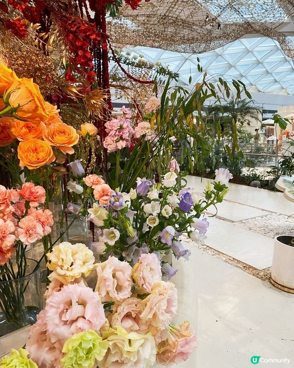 情人節大餐深圳好去處