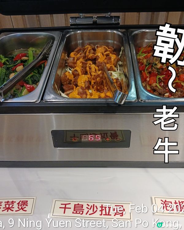 勁過九大簋的十餸飯自助餐