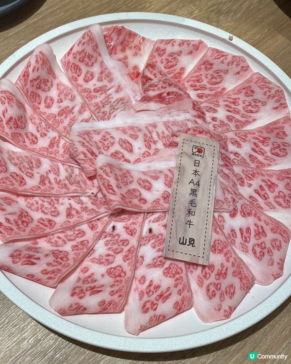 旺角豐富台式火鍋放題