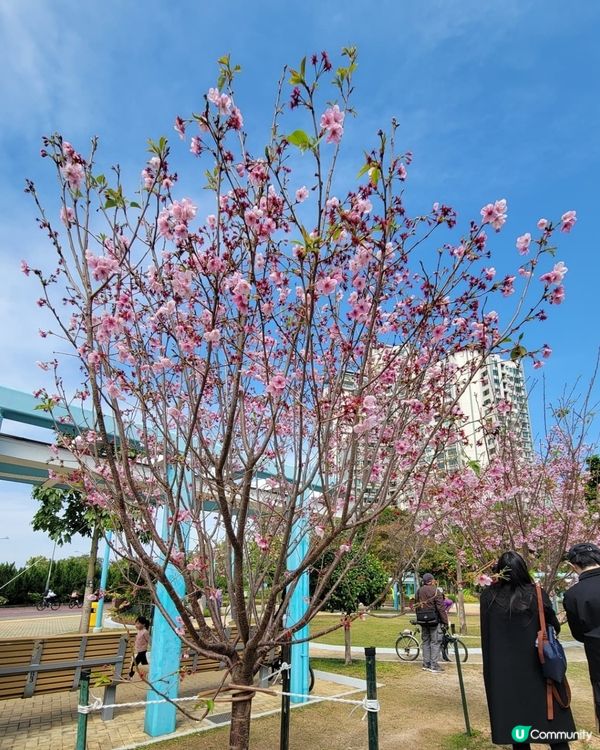 #好去處 #人人生日快樂
