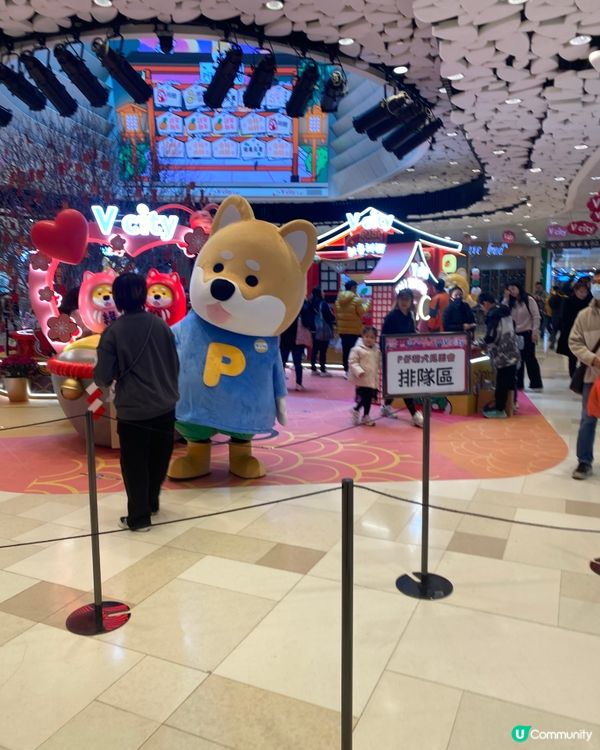 Vcity x P仔 📸 可以同人咁大既P仔影相啊😺