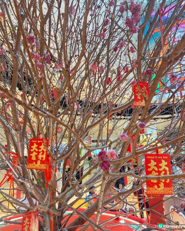 Vcity x P仔 📸 可以同人咁大既P仔影相啊😺