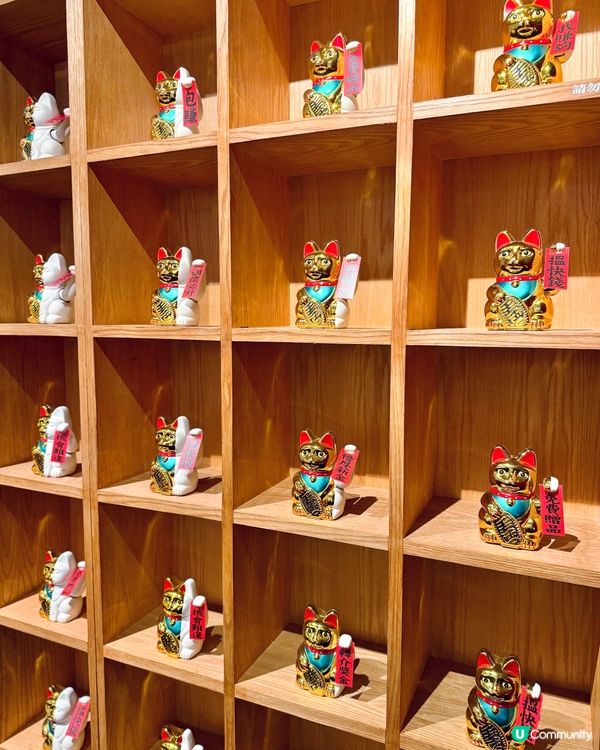 即時「入學」📚防騙學府｢呃大｣