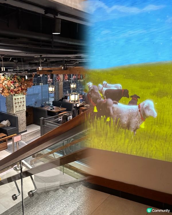 旺角宵夜🔥二人食$260抵到爛！