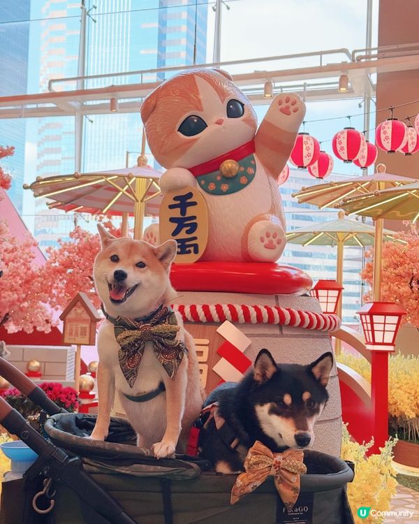 Mofusand🌸🐈九龍灣新年打卡 | 福貓花見駅