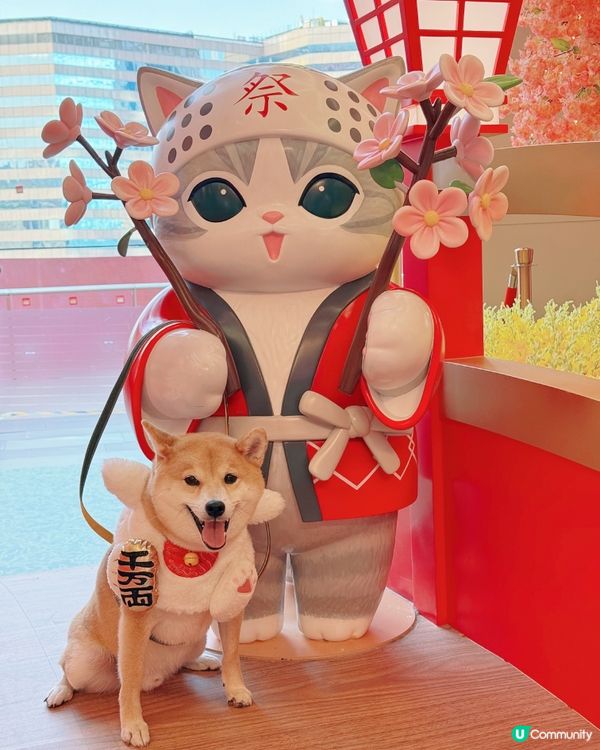 Mofusand🌸🐈九龍灣新年打卡 | 福貓花見駅