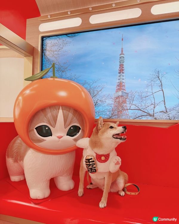 Mofusand🌸🐈九龍灣新年打卡 | 福貓花見駅