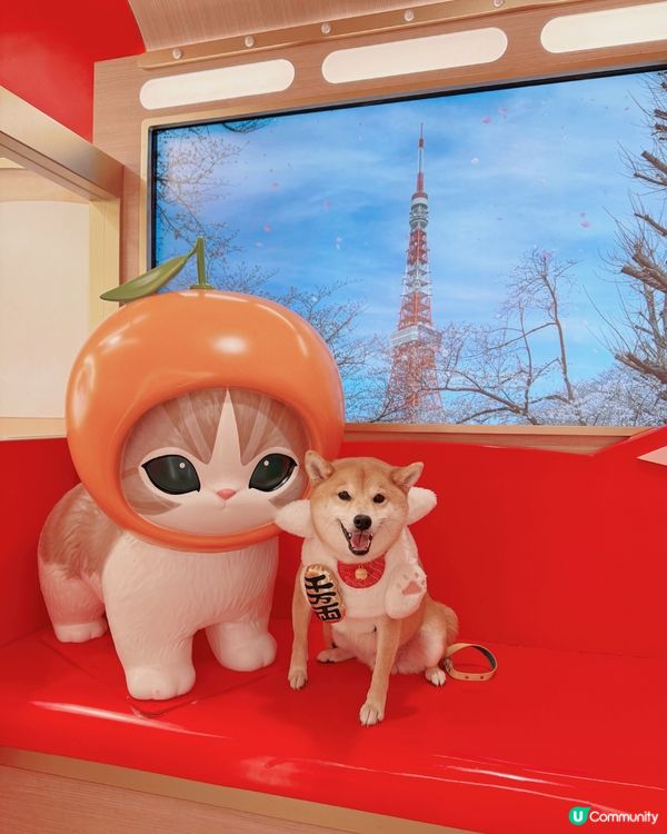 Mofusand🌸🐈九龍灣新年打卡 | 福貓花見駅