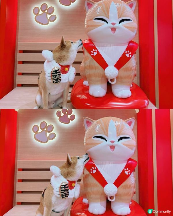 Mofusand🌸🐈九龍灣新年打卡 | 福貓花見駅