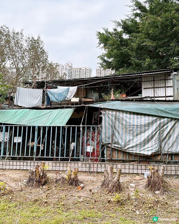 🎏黃大仙竹園鄉🥹逃不過時代巨輪‼️巷仔掃街成回憶