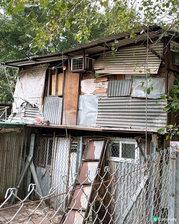 🎏黃大仙竹園鄉🥹逃不過時代巨輪‼️巷仔掃街成回憶
