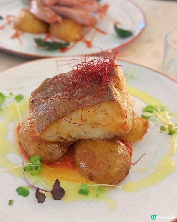 尖沙咀月亮慶祝餐廳💗法式豬鞍極出色🔥