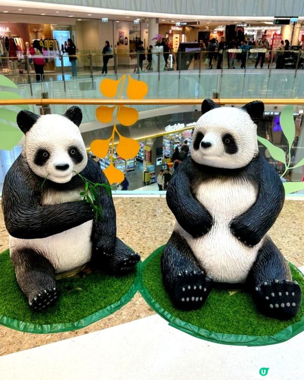 Moko像真熊貓擺設🐼📸✨